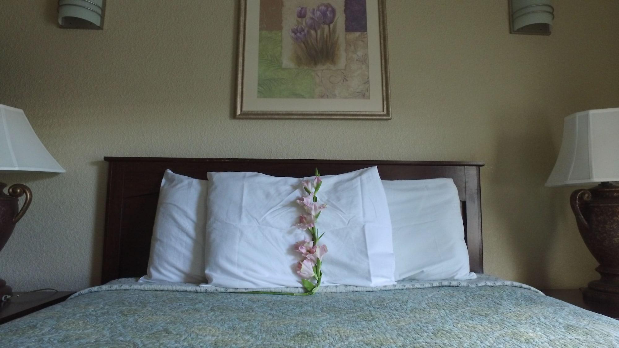 Athens Hotel & Suites Houston Eksteriør billede